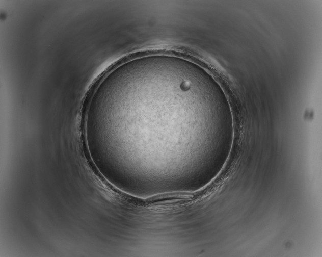 X0000100311216200806121032