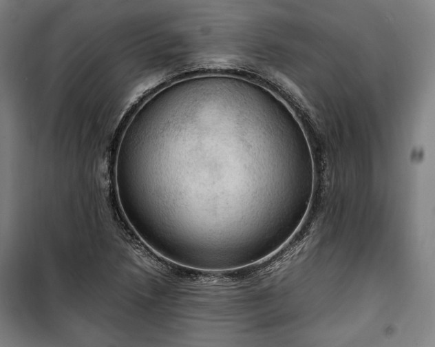 X0000100311218200806121032