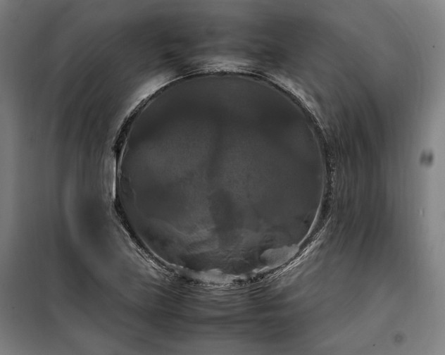 X0000100311219200806121032