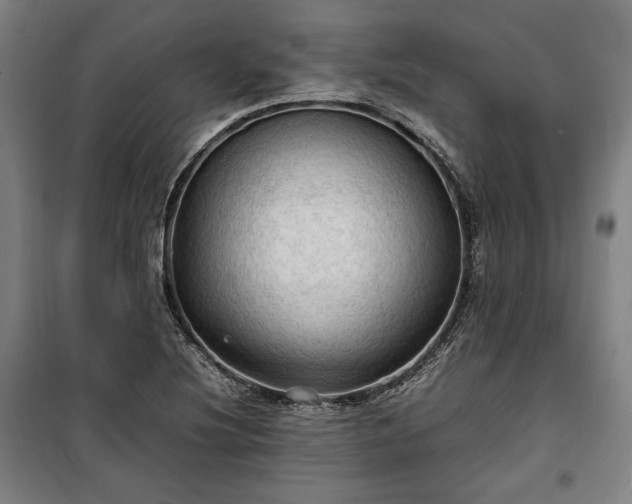 X0000100311220200806121032
