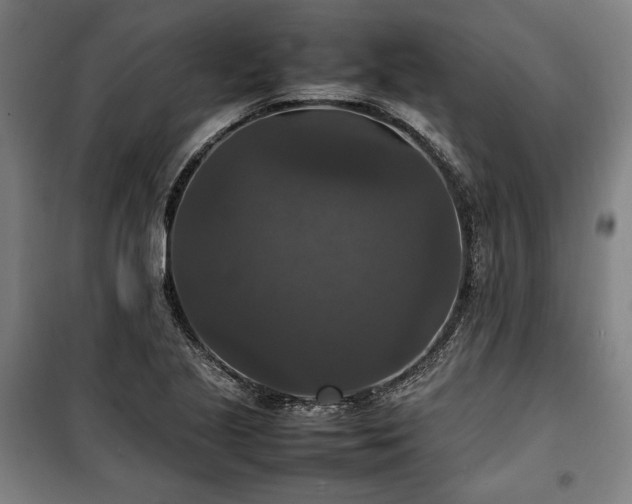 X0000100311221200806121032