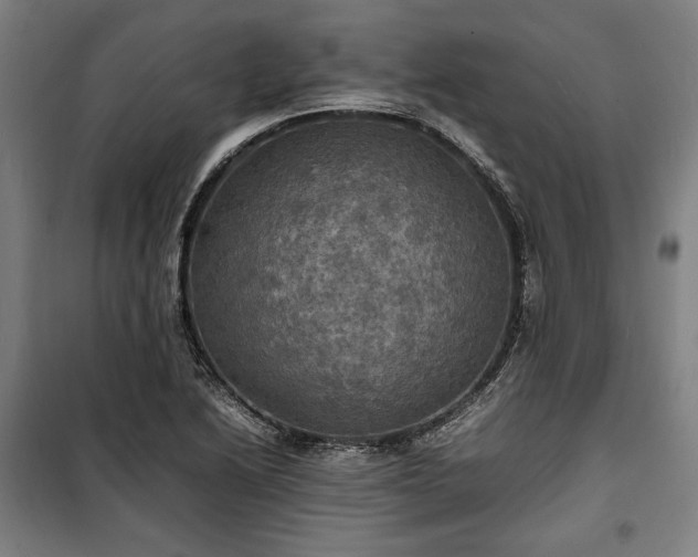 X0000100311222200806121032