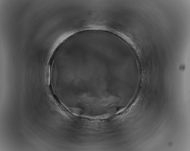 X0000100311223200806121032