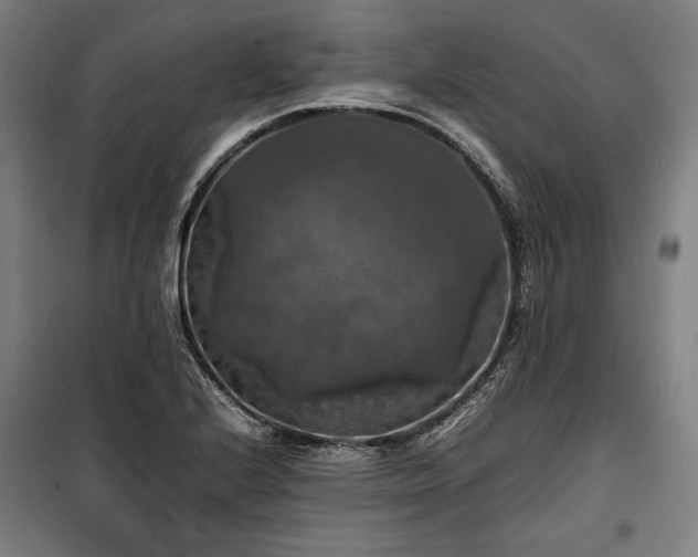 X0000100311224200806121032
