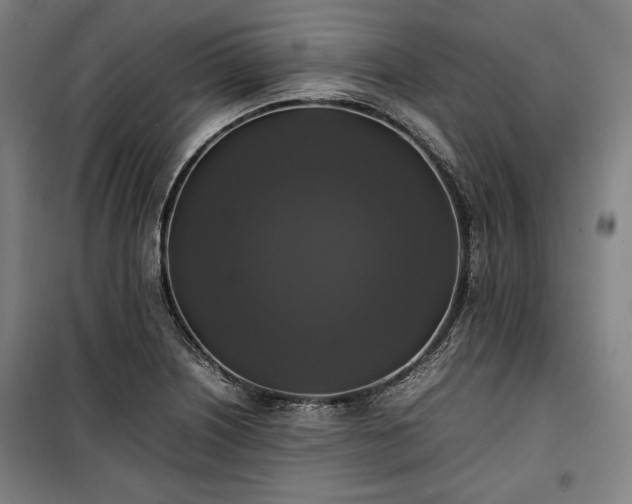 X0000100311226200806121033