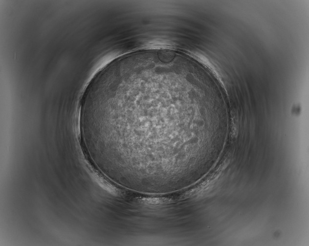 X0000100311227200806121033