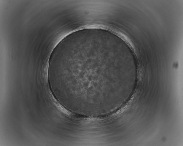 X0000100311228200806121033