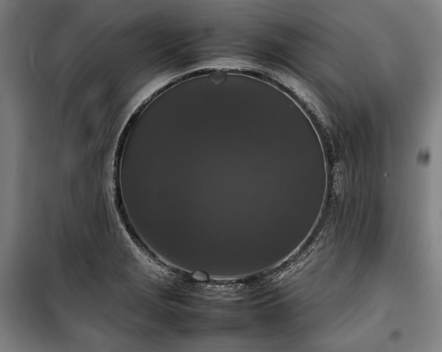 X0000100311229200806121033