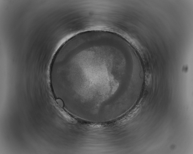 X0000100311230200806121033