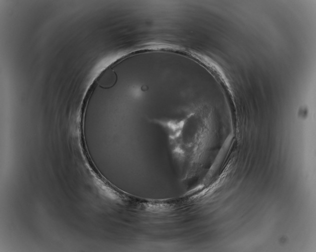 X0000100311231200806121033
