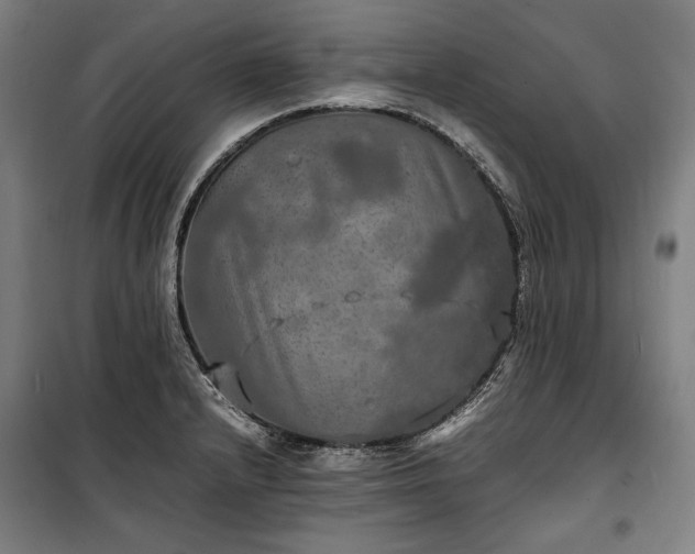 X0000100311232200806121033