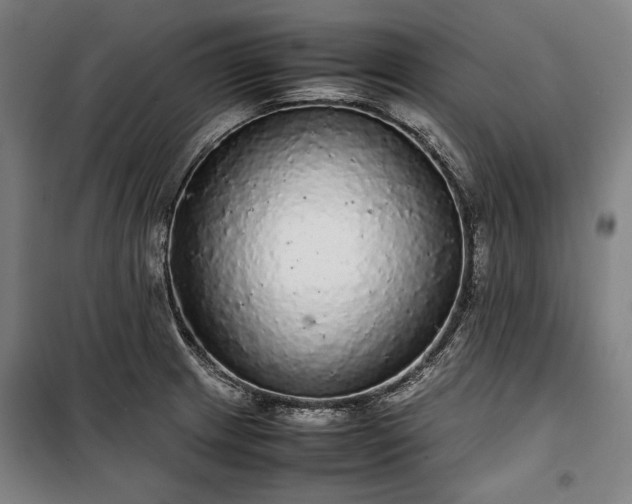 X0000100311233200806121033