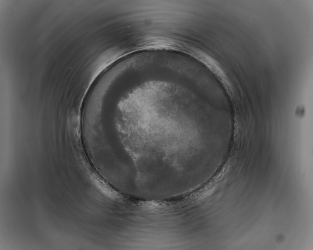 X0000100311234200806121033