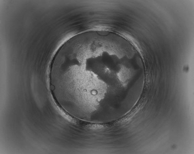 X0000100311235200806121033