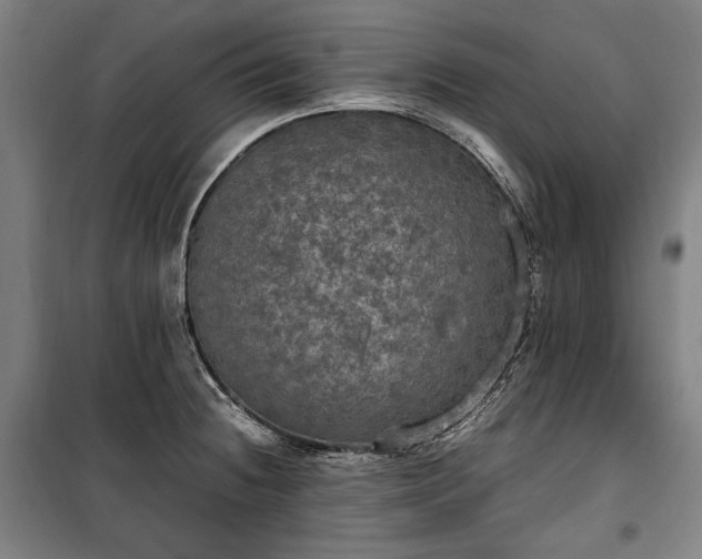 X0000100311236200806121033