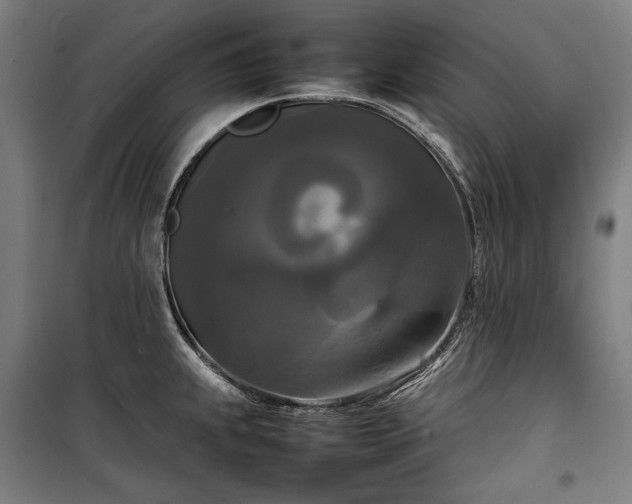 X0000100311239200806121033