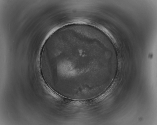 X0000100311240200806121033