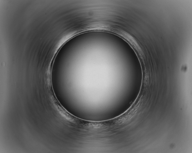 X0000100311242200806121033