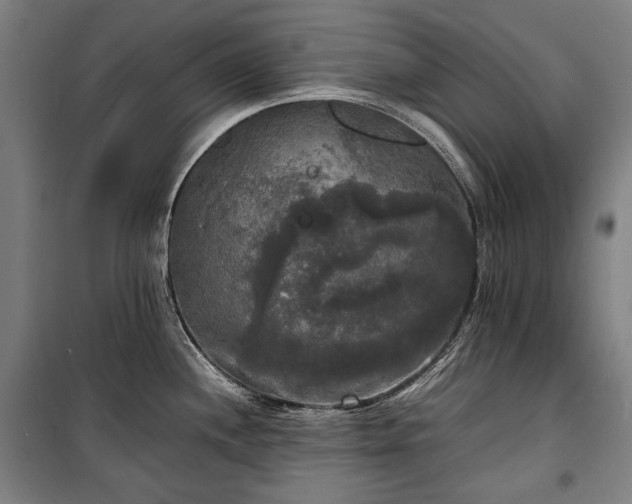 X0000100311244200806121033