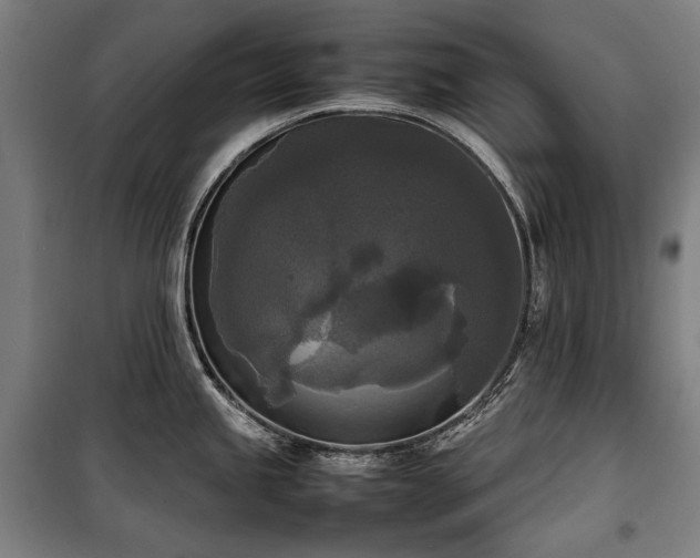 X0000100311245200806121033