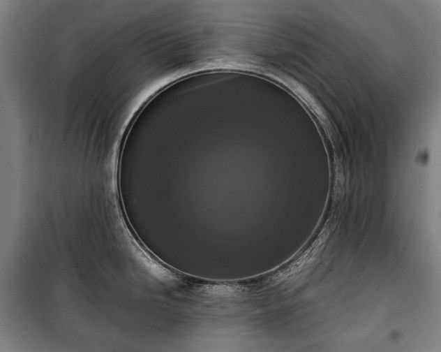 X0000100311246200806121033