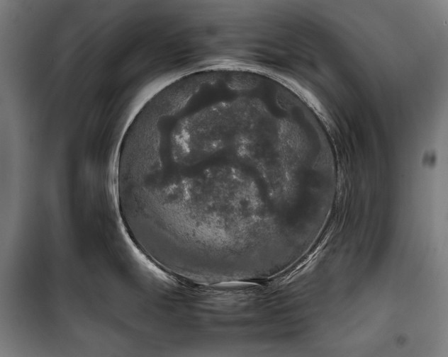 X0000100311247200806121033