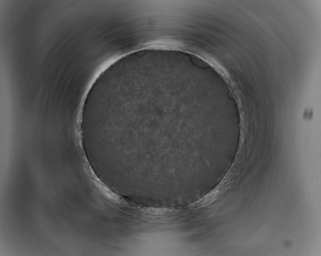 X0000100311248200806121033