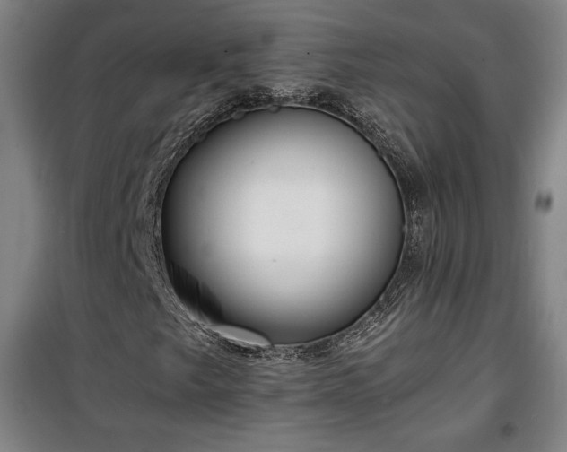 X0000100311249200806121032