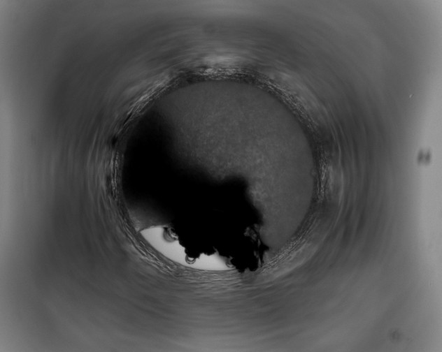 X0000100311250200806121032