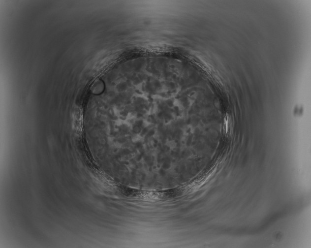 X0000100311251200806121032