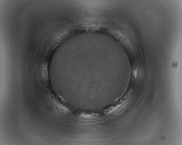 X0000100311252200806121032