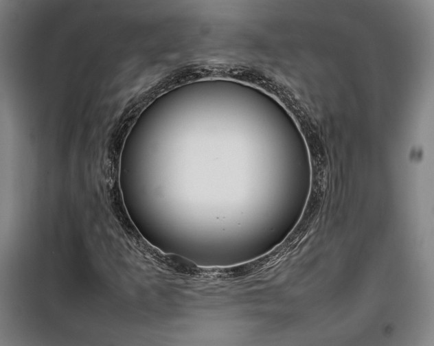 X0000100311253200806121032