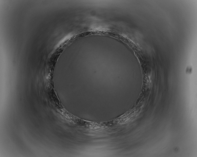 X0000100311254200806121032