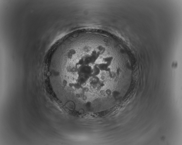 X0000100311255200806121032