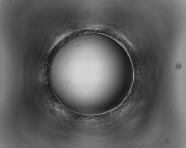 X0000100311256200806121032