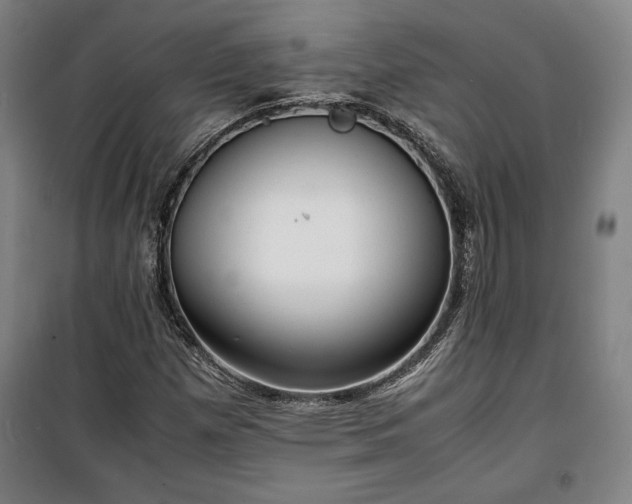 X0000100311257200806121032
