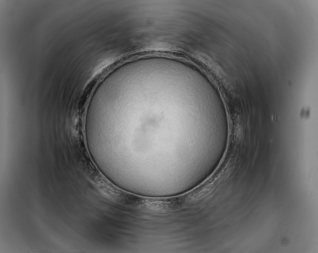 X0000100311258200806121032