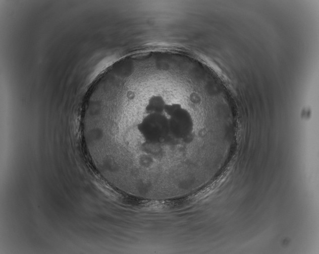 X0000100311259200806121032