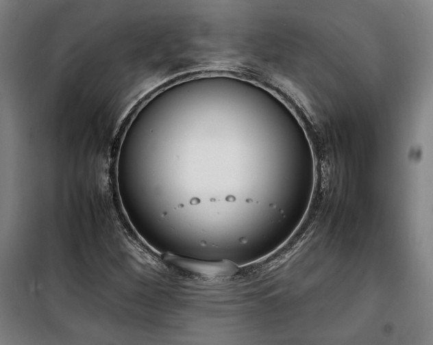 X0000100311260200806121032