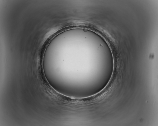 X0000100311261200806121032