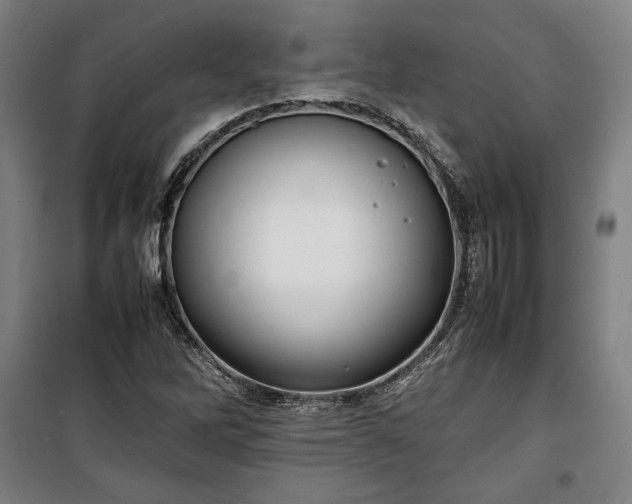 X0000100311262200806121032