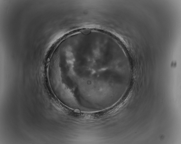 X0000100311263200806121032