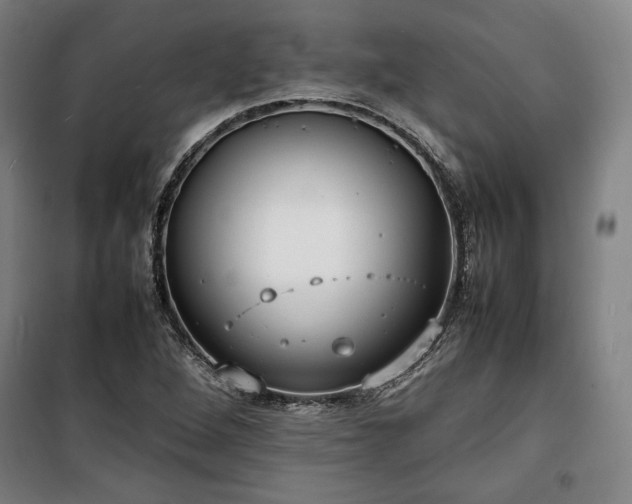 X0000100311264200806121032