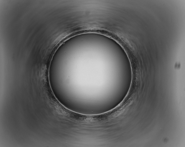 X0000100311265200806121032