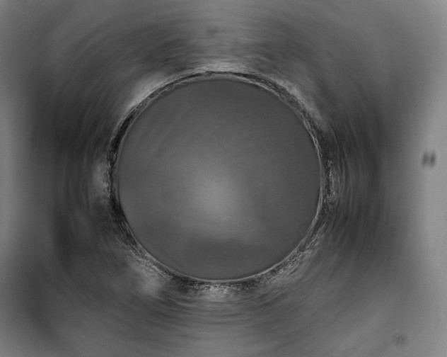 X0000100311266200806121032