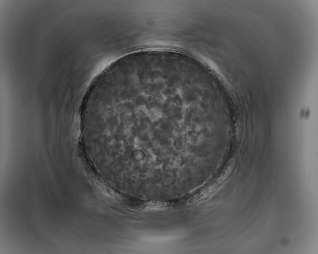 X0000100311267200806121032