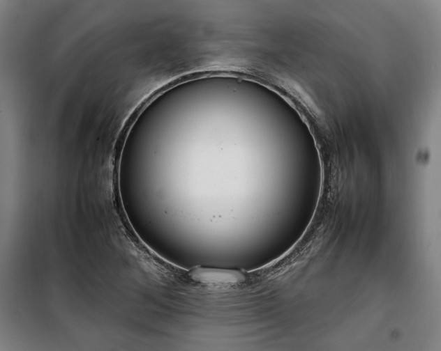 X0000100311268200806121032