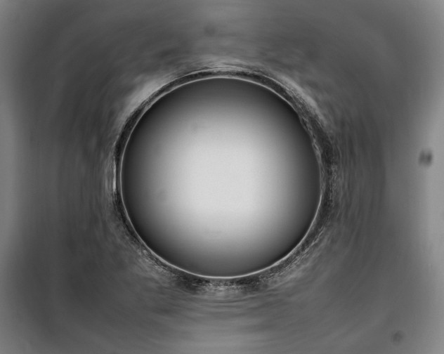 X0000100311269200806121032
