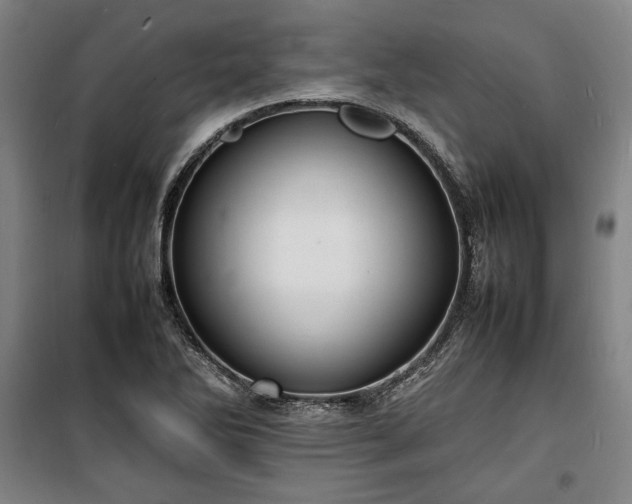 X0000100311270200806121032
