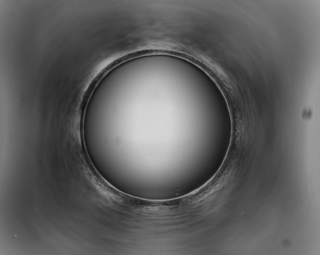 X0000100311272200806121032